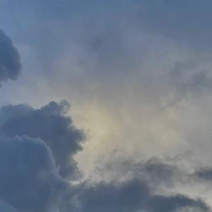 中国美女做爱直播电影视频
